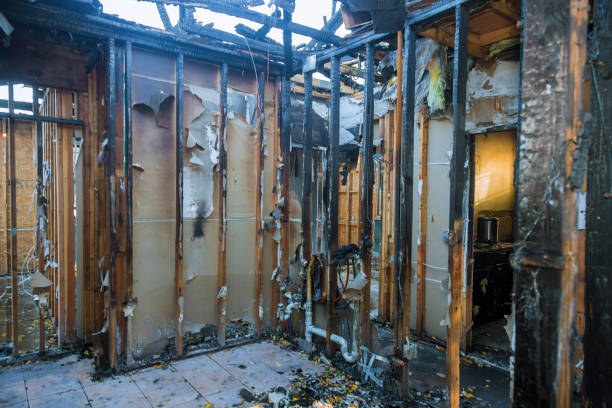 Professional Smoke Damage Removal technician working in Spring Valley, CA